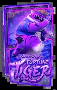 fortune tiger