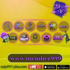 www member999